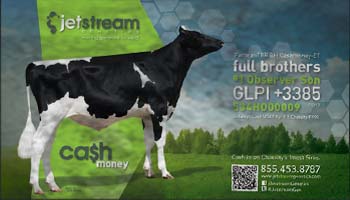 Print Design and Production